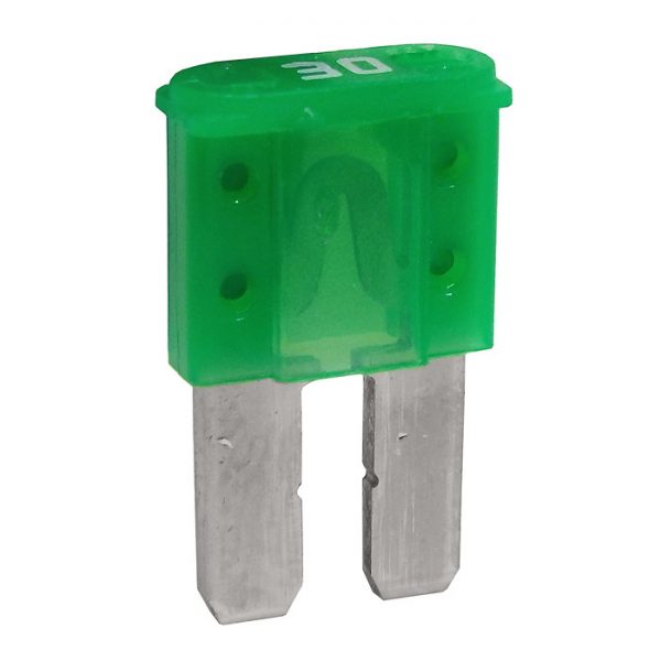 30 Amp Micro-2 style blade fuse ( Green)